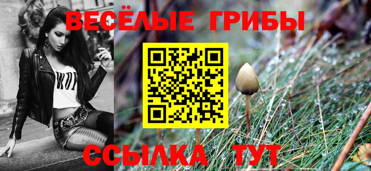 Галлюциногенные грибы Луга