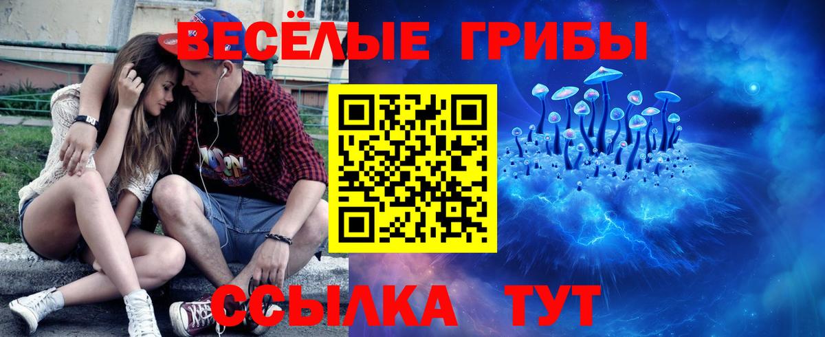Галлюциногенные грибы мицелий  Вход с VPN  Луга 